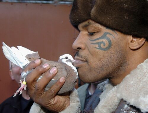 MIKE DROP Mike Tyson reveals he dumped ex-girlfriend after she killed, cooked and ate one of his favourite pet pigeons