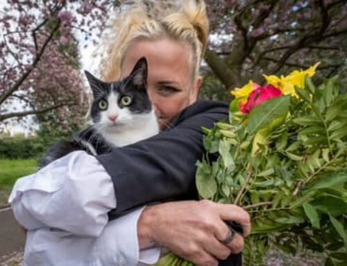 Woman marries cat to stop landlords from separating them